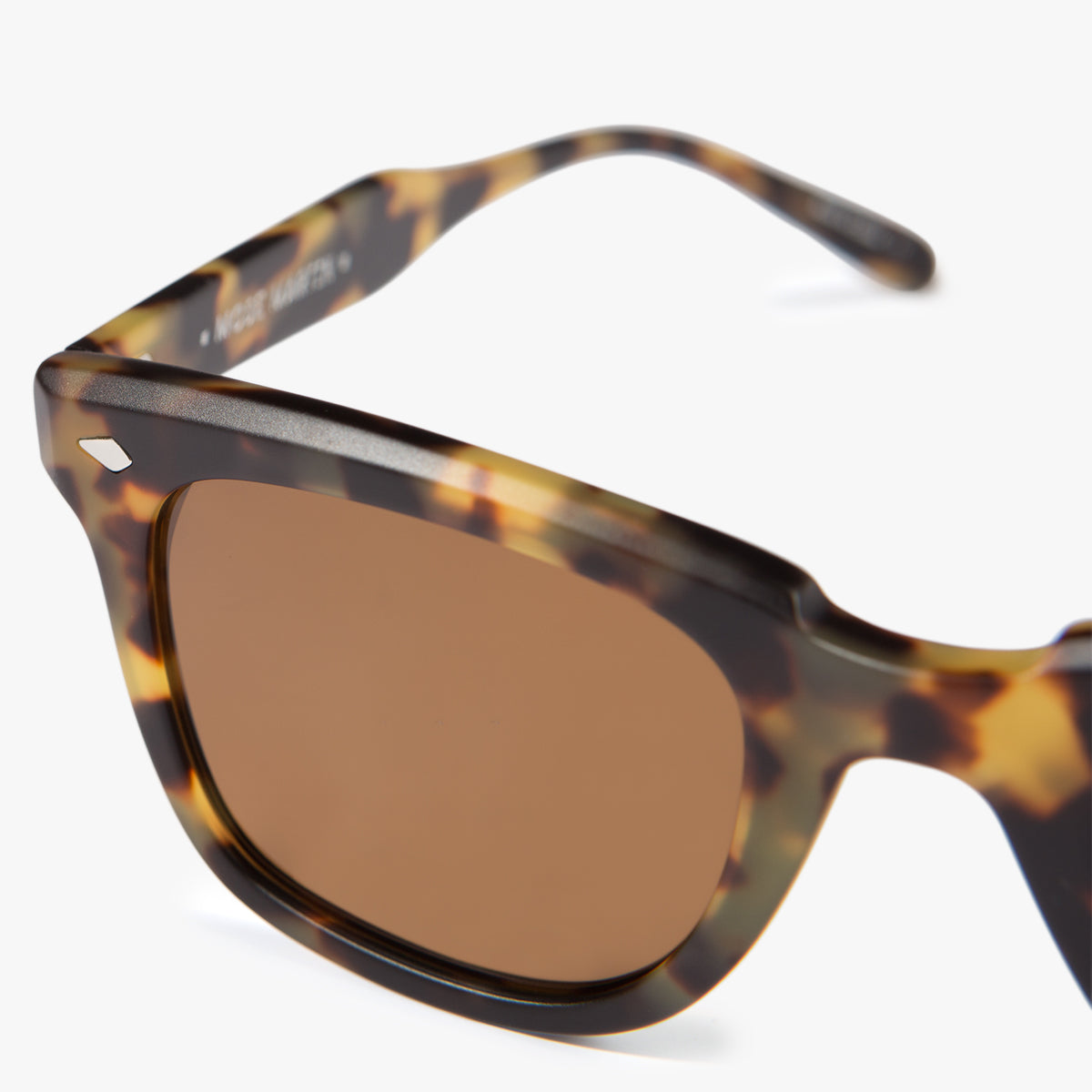 MM6: Tortoise Polarized