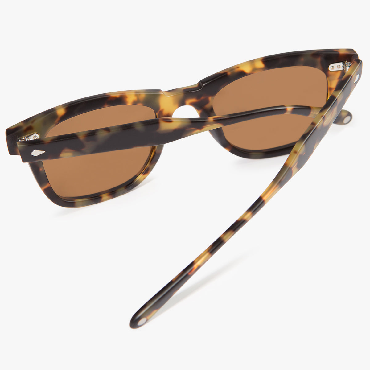 MM6: Tortoise Polarized