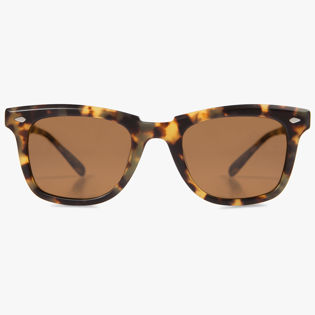MM6: Tortoise Polarized