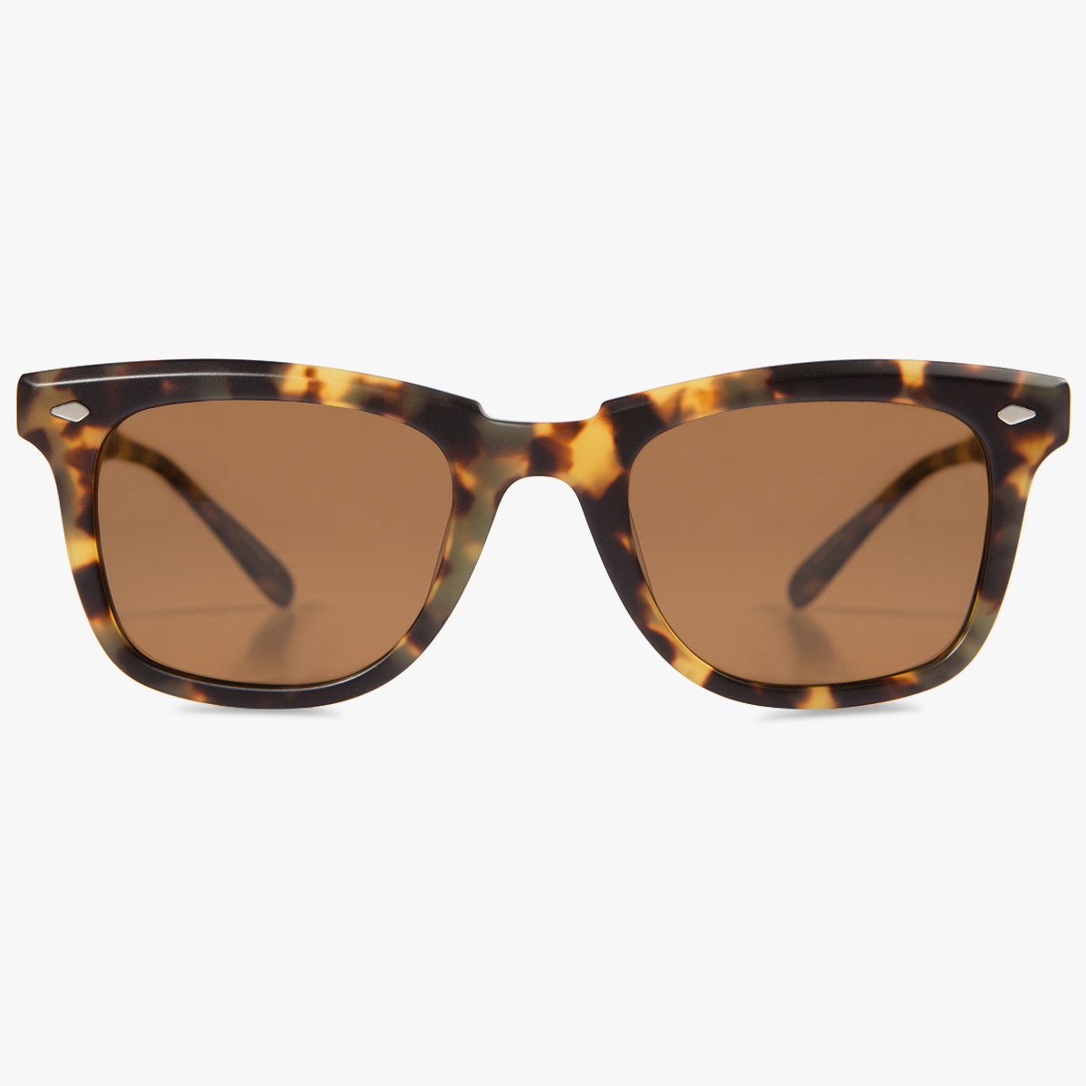 MM6: Tortoise Polarized
