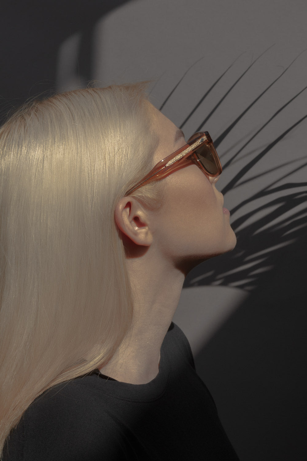 MM6: Bourbon Polarized