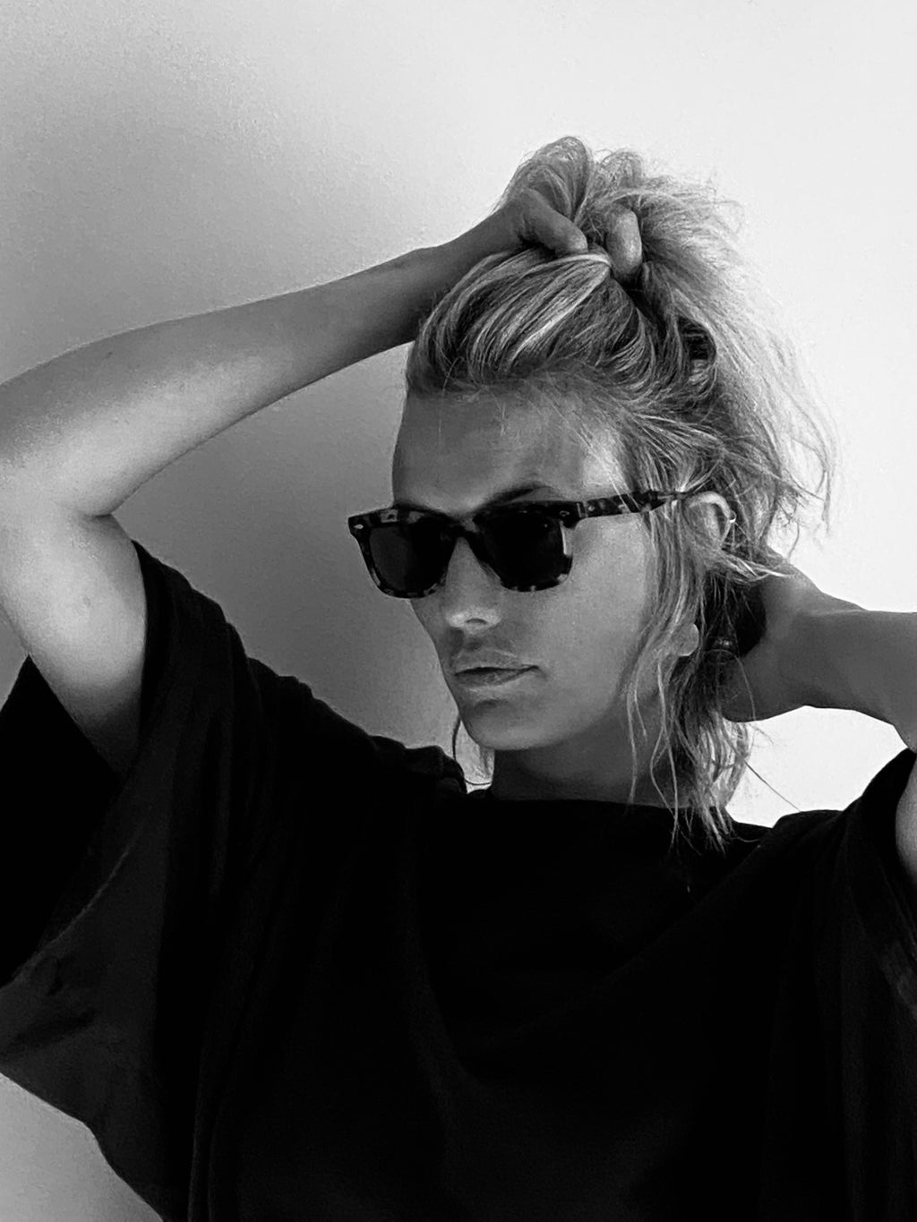 MM6: Tortoise Polarized