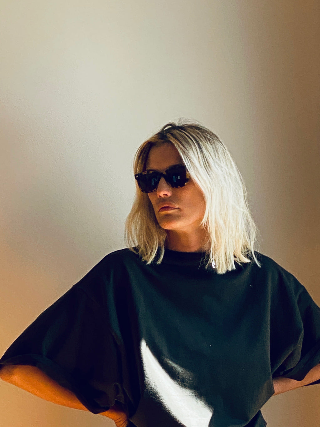 MM6: Tortoise Polarized