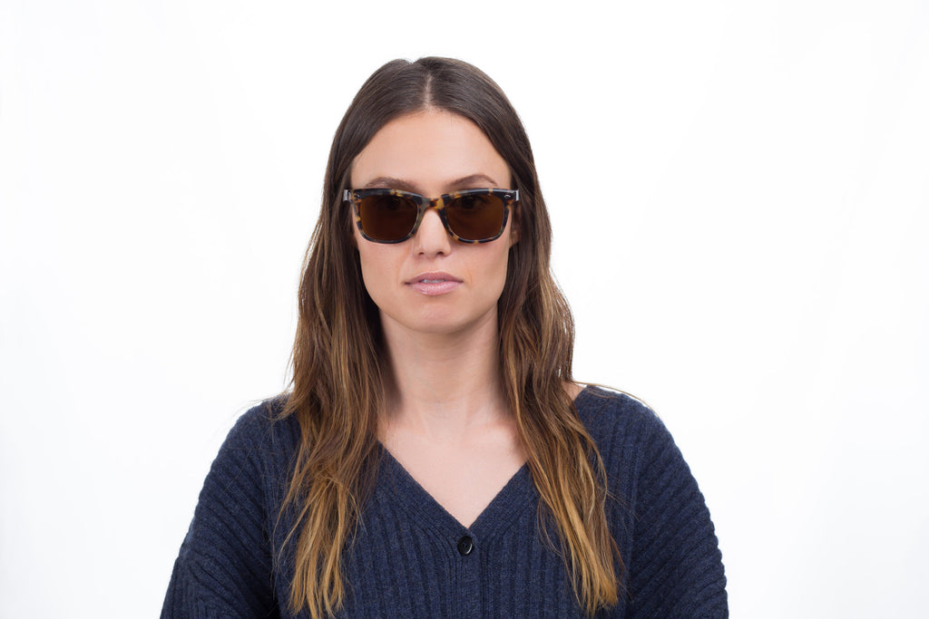 MM6: Tortoise Polarized
