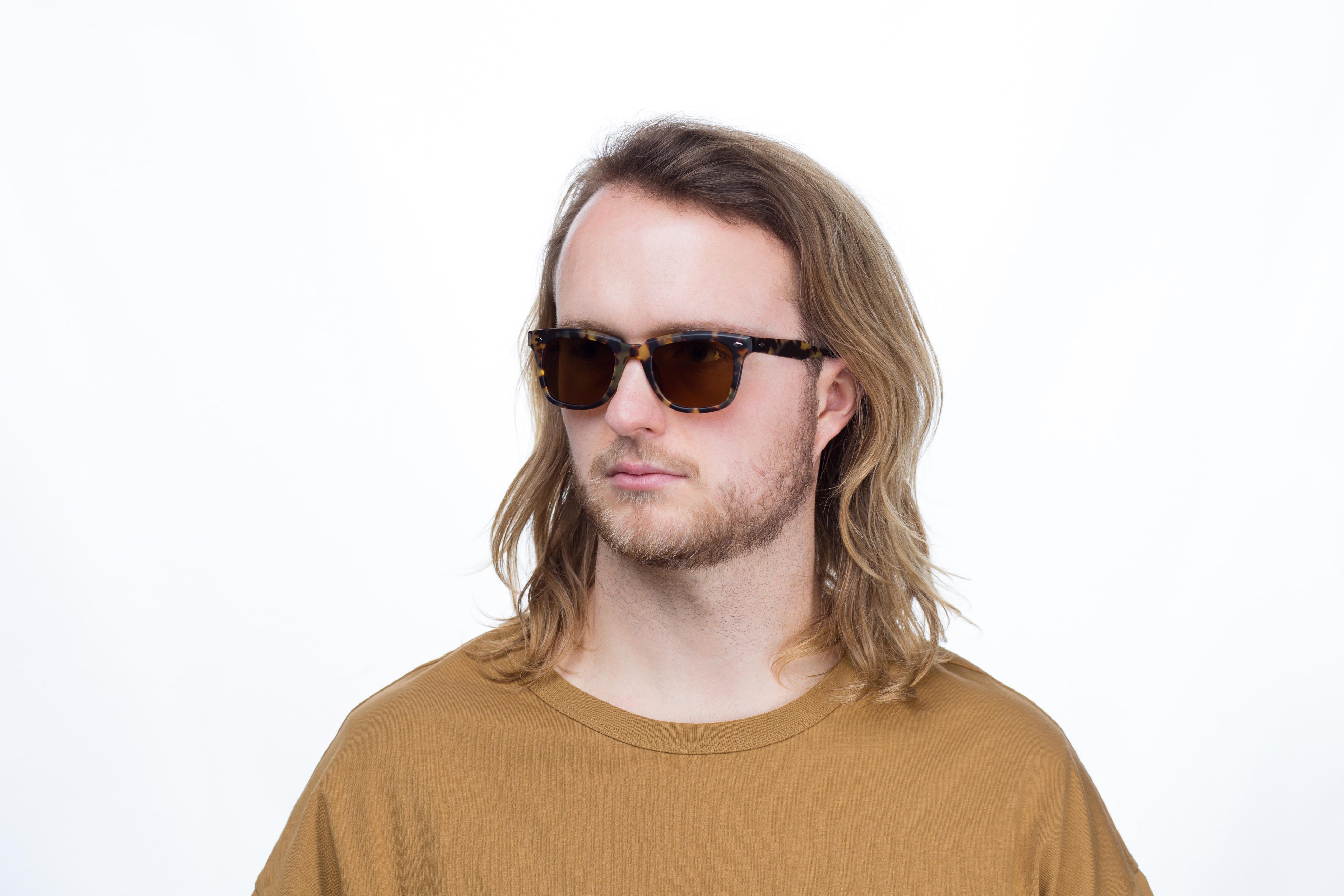 MM6: Tortoise Polarized